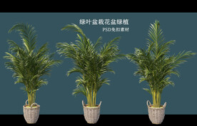 盆栽花盆绿植PSD免扣素材
