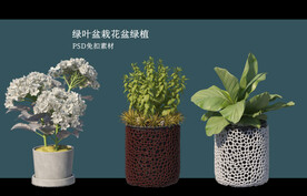 盆栽花盆绿植PSD免扣素材