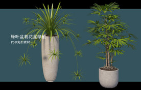 透明背景 盆景 园艺 盆景艺术