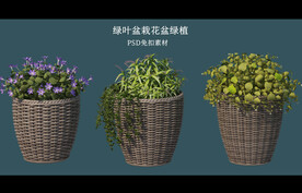 盆栽花盆绿植PSD免扣素材