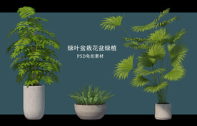 盆栽花盆绿植PSD免扣素材
