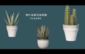 盆栽花盆绿植PSD免扣素材