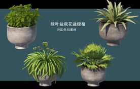 盆栽花盆绿植PSD免扣素材