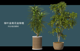 盆栽花盆绿植PSD免扣素材