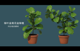 盆栽花盆绿植PSD免扣素材