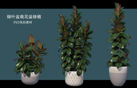 盆栽花盆绿植PSD免扣素材