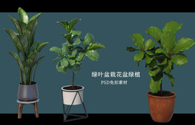 盆栽花盆绿植PSD免扣素材