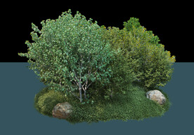 独立景观草地石头树木PSD素材