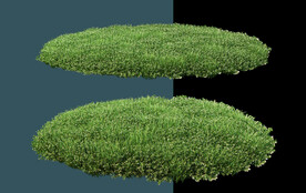 圆形景观悬浮草地PSD素材