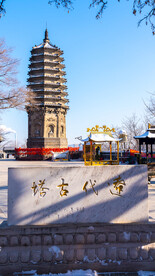 辽宁抚顺高尔山辽代古塔远景