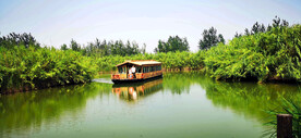 江苏洪泽湖湿地
