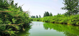 江苏洪泽湖湿地