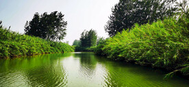 江苏洪泽湖湿地