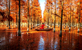 江苏洪泽湖湿地