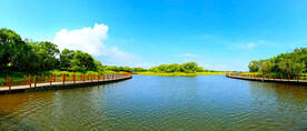 黑龙江黑瞎子岛湿地