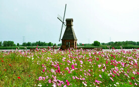 浙江宁波杭州湾国家湿地