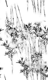 数码印花  水墨竹子