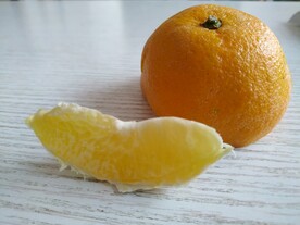 新鲜水果