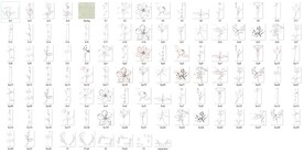 104个素描植物花卉免抠