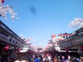 风景 自然 