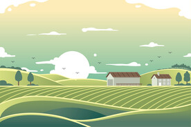 农业绿色背景插画