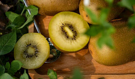 猕猴桃