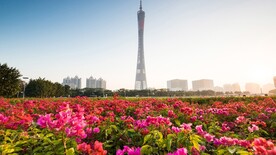 广州塔