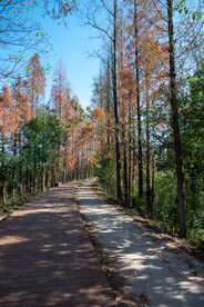 景观道 