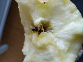 苹果果肉
