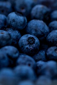 蓝莓