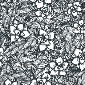线条素描花