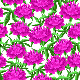 手绘牡丹花