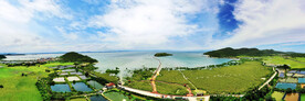 广东海陵岛红树林湿地