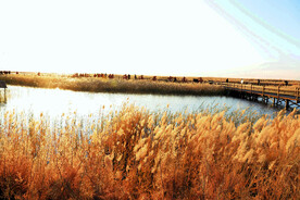 内蒙古居延海湿地公园