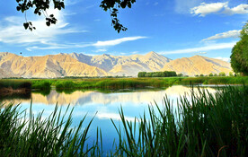 西藏拉萨拉鲁湿地