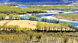 西藏雅尼国家湿地公园