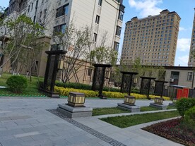 小区院里