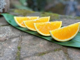 橙子