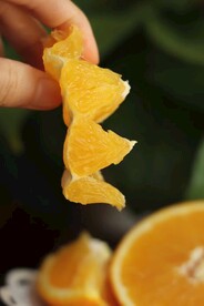 橙子