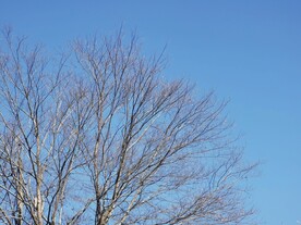 天空
