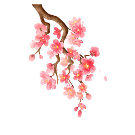 桃花