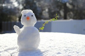 小雪人