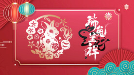 兔年 