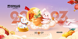 春节兔年插画元素图案 