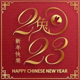  新年兔年贺岁2023主题贺岁