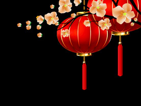 灯笼梅花
