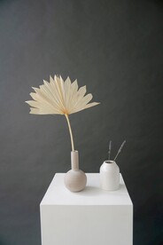陶瓷