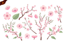 樱花插画