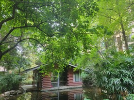 绿野