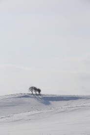 雪景 